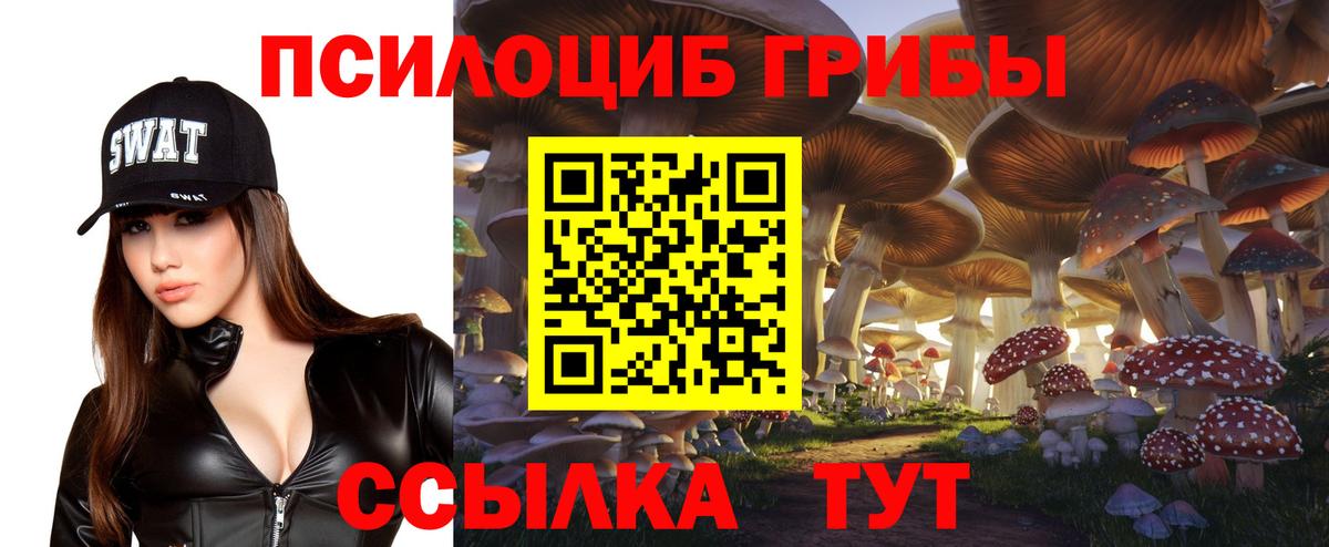 Галлюциногенные грибы Cubensis  Вход с VPN  Вязники  Псилоцибиновые грибы ЛСД 